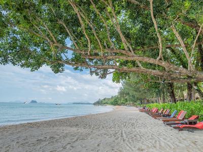 Leerer Sandstrand mit Liegestühlen unter Bäumen am ruhigen Meer