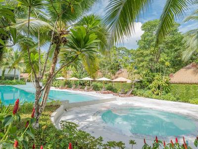 Ein luxuriöser Außenpool und Whirlpool umgeben von tropischen Pflanzen und Palmen.