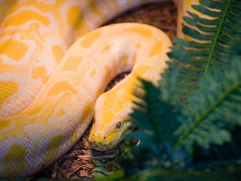 Kinder spielen fröhlich auf einem Klettergerüst aus Seilen und Holz in einem hellen Raum.