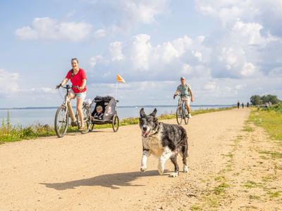Zwei Personen fahren Fahrrad auf einem sandigen Weg am Wasser mit zwei Hunden.