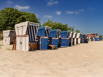Reihe von Strandkörben verschiedener Farben auf Sand mit Bäumen und blauem Himmel im Hintergrund.