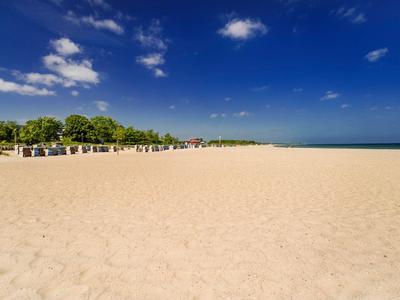 Weitläufiger Sandstrand mit Strandkörben, grünem Bewuchs und klarem blauem Himmel.