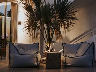 Dvě pohodlná křesla s polštáři vedle velké rostliny v květináči v elegantním hotelovém pokoji.