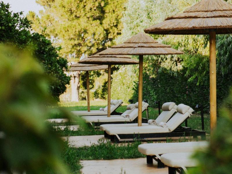 Řada lehátek pod slunečníky v zelené hotelové zahradě.