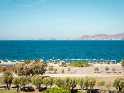 Blick auf das blaue Meer mit Strand und Bäumen im Vordergrund bei klarem Himmel.