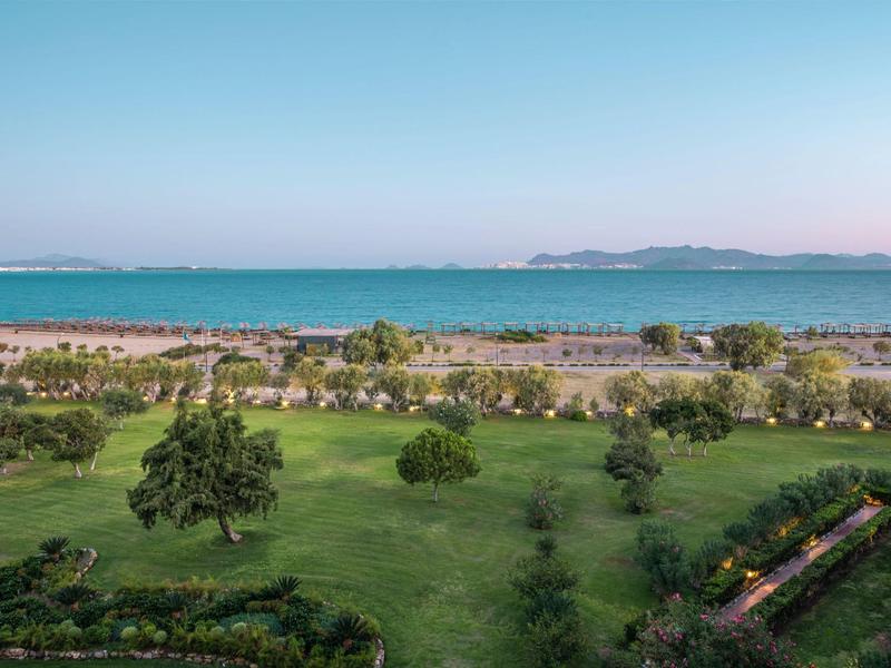 Grüner Park mit Bäumen und Sträuchern vor ruhiger blauer Meeresküste unter klarem Himmel.