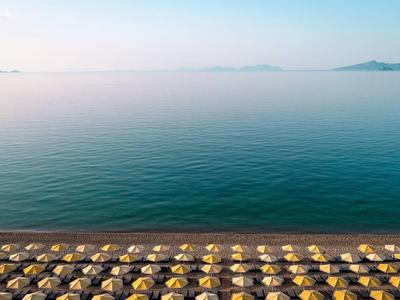 Řada žlutých plážových slunečníků u klidného moře za jasné oblohy.