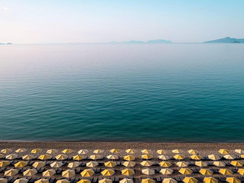Řada žlutých plážových slunečníků u klidného moře za jasné oblohy.