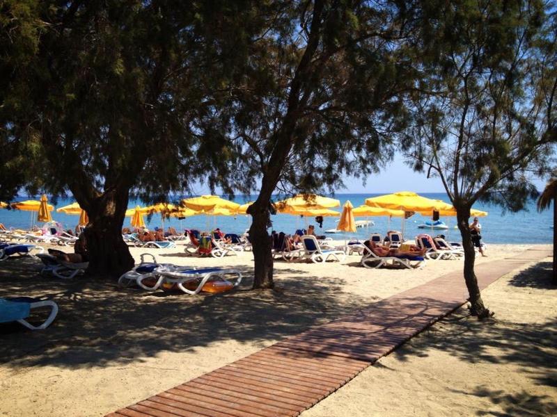 Pláž s žlutými slunečníky a lehátky pod stromy u moře.