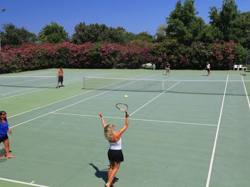 Mensen die tennis spelen op een zonnige buitenbaan omgeven door groen en struiken.