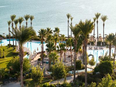A hotel pool surrounded by palm trees by the sea with sun loungers and green lawns.