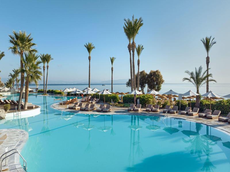 Large outdoor pool with palm trees and sun loungers under clear sky by the sea.
