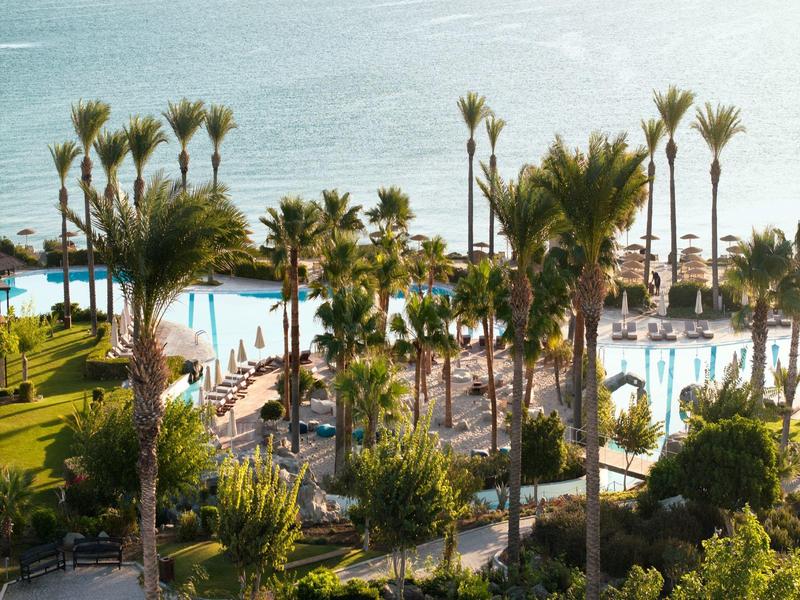 A hotel pool surrounded by palm trees by the sea with sun loungers and green lawns.