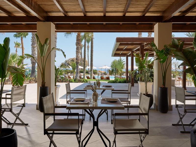 Cozy hotel outdoor seating area with tables, chairs, and palm trees in the background.