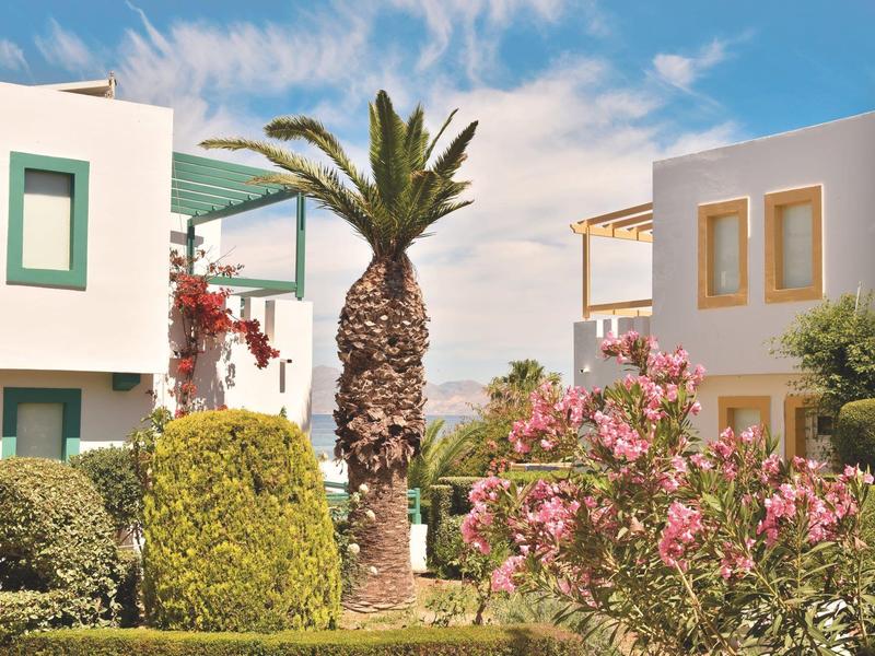 Zwei moderne weiße Gebäude mit bunten Fensterrahmen, Palmen und blühenden Sträuchern im Vordergrund.