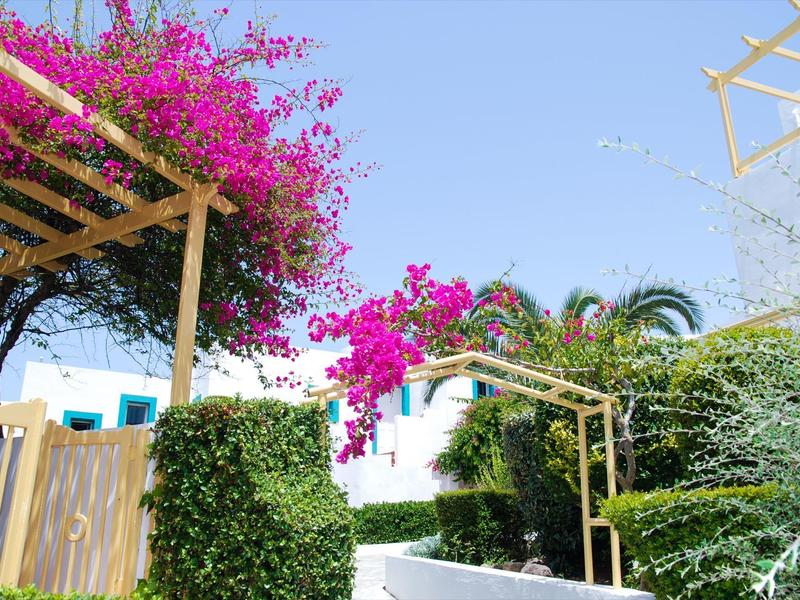 Bunte Blüten an Pergola vor weißem Hotelgebäude und blauem Himmel