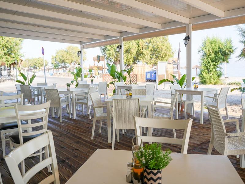 Offener Gastronomiebereich mit hellen Holzstühlen, Holzboden und Tischen mit Pflanzen als Dekoration.