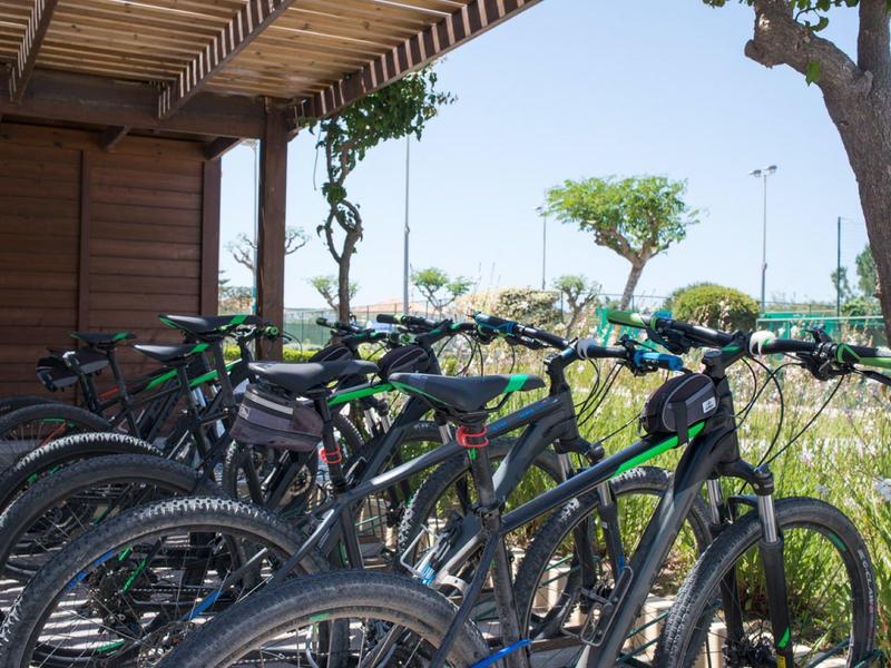 Několik kol stojí pod dřevěným přístřeškem za jasného počasí.