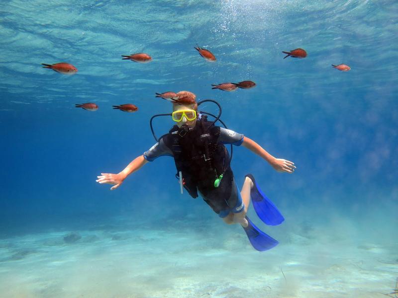 Potápěč s modrými ploutvemi a žlutou maskou plave poblíž písčitého dna.