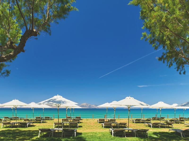 Zelená pláž s lehátky a bílými slunečníky u tyrkysového moře pod modrou oblohou