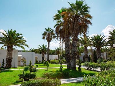 Palm trees in a sunny hotel garden with well-kept grass and clear blue sky.