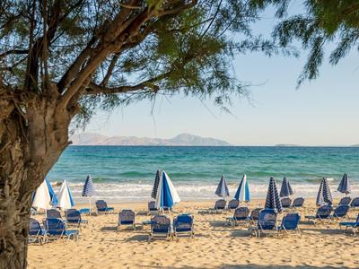Empty beach with blue umbrellas and chairs under a tree by the sea.