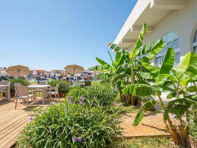 Ein sonniger Hotelterrasse mit Tischen, Stühlen und üppiger grüner Bepflanzung unter blauem Himmel.