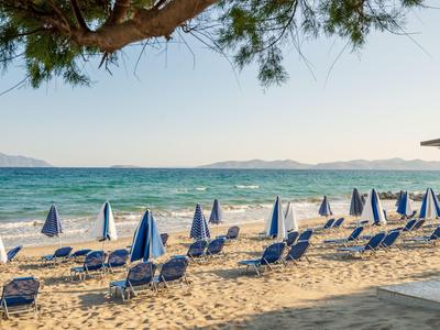Ein Sandstrand mit blauen Liegestühlen und Sonnenschirmen unter einem Baum am Meer.
