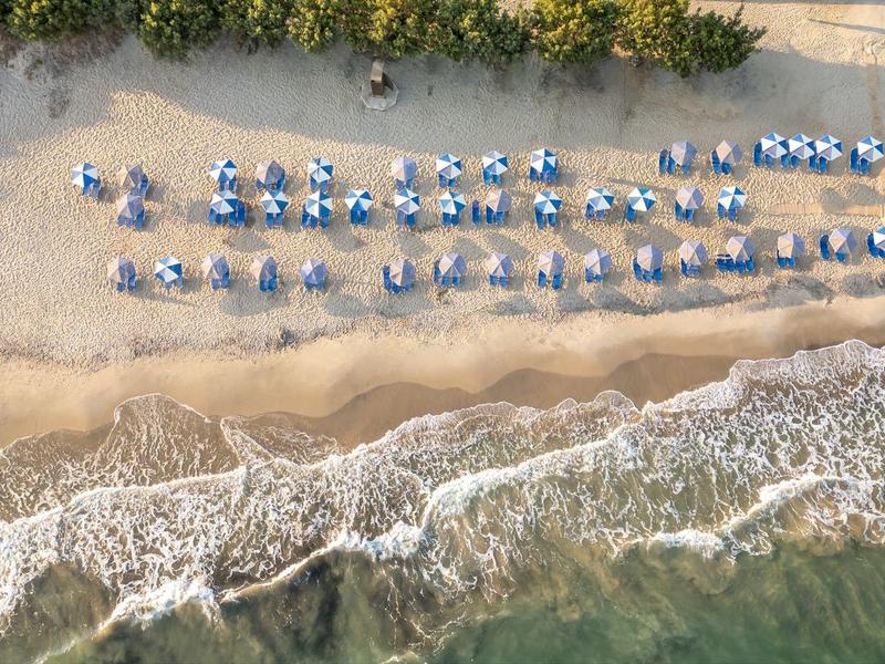Aerial view of beach with rows of blue umbrellas and foamy ocean waves.