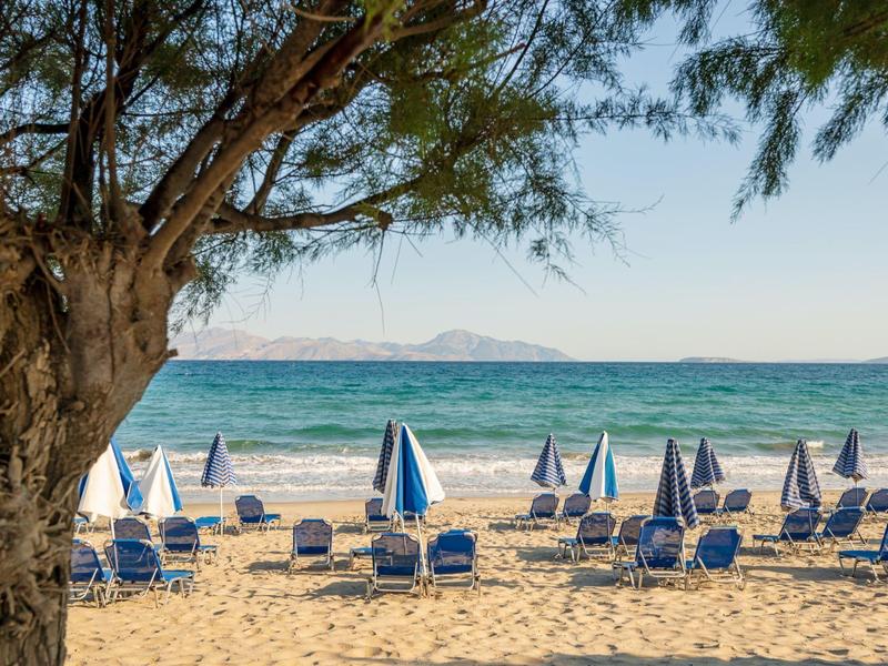 Empty beach with blue umbrellas and chairs under a tree by the sea.