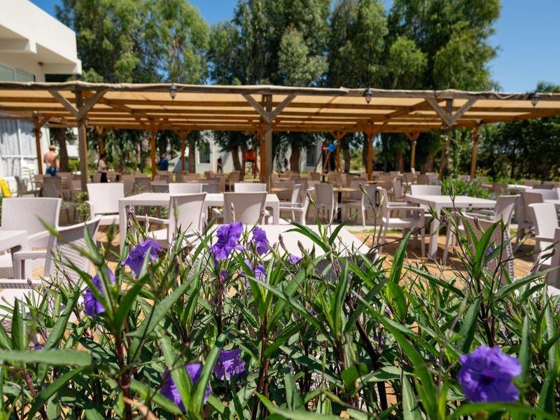 Sunny terrace with tables and chairs surrounded by flowers and trees.