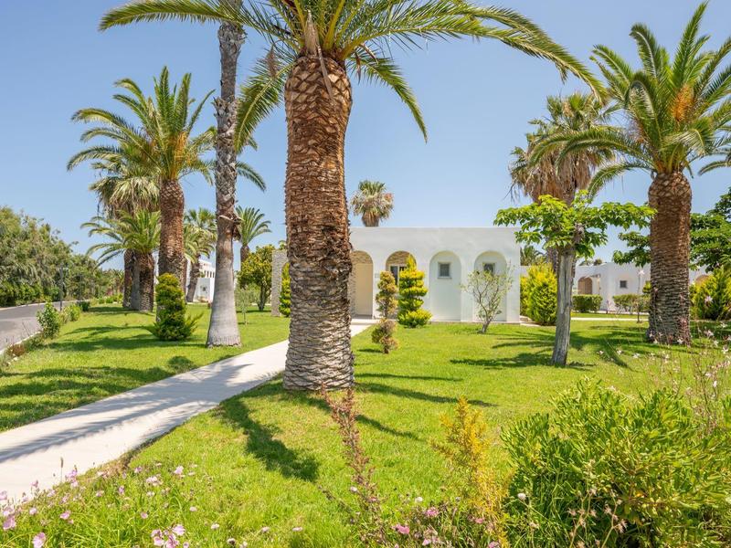 White building surrounded by green lawn and palm trees under blue sky.