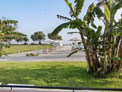 Vista di una terrazza-solarium con lettini e ombrelloni, circondata da piante di banana e prati verdi.
