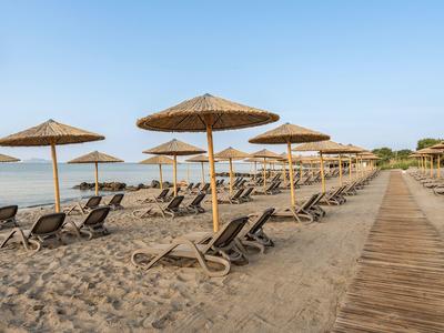 Piaszczysta plaża z rzędami leżaków i słomianych parasoli obok drewnianej ścieżki