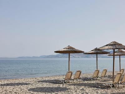 Leeg zandstrand met ligstoelen en strooien parasols bij de kalme zee.