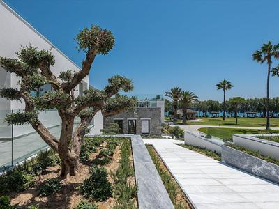 Moderner Außenbereich mit Gehweg, exotischen Bäumen und Blick auf einen gepflegten Garten bei blauem Himmel.