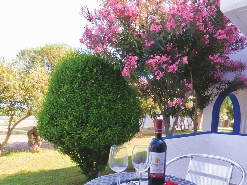 Balkontisch mit Wein, Gläsern und roter Rose vor buntem Baum und grüner Hecke.