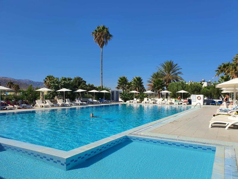 Großer blauer Pool mit vielen weißen Liegestühlen und Sonnenschirmen, Palmen im Hintergrund.