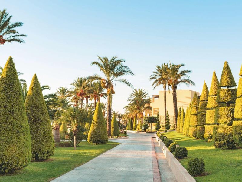Ampio sentiero lastricato con alberi potati simmetricamente e palme in un giardino d'hotel.