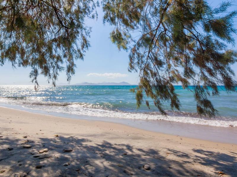 Sonnenbeschienener Sandstrand mit ruhigem Meer und Baumzweigen im Vordergrund