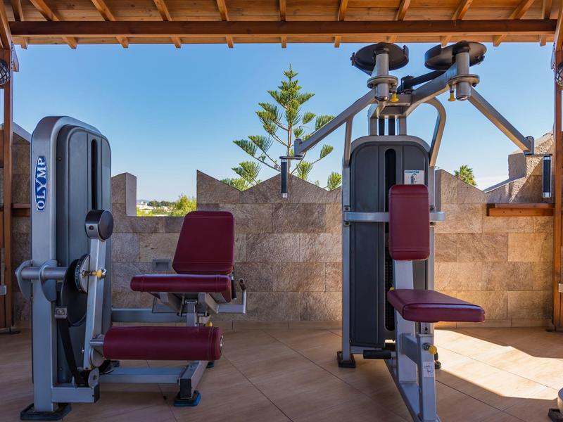 Sprzęt na siłownię na świeżym powietrzu pod drewnianym dachem z kamiennym murem i drzewami w tle.