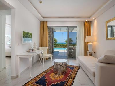 Bright living room with sofa, rug, and pool view through a patio door.