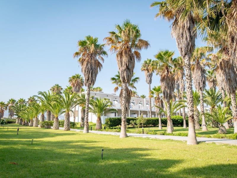 Budynek hotelu za rzędem wysokich palm z zieloną trawą na pierwszym planie