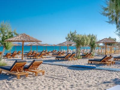 Strand mit Liegestühlen, Sonnenschirmen und Bäumen bei klarem Himmel am Meer