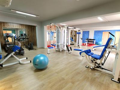 Moderner Fitnessraum mit Trainingsgeräten und Gymnastikball auf hellem Holzboden.