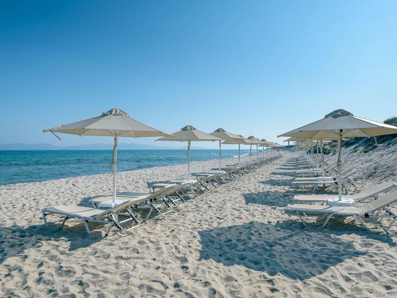 Playa con filas de tumbonas y sombrillas bajo un cielo azul junto al mar.