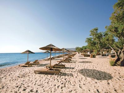 Strand mit Sand, Liegestühlen, Sonnenschirmen und Bäumen bei klarem Himmel und ruhigem Meer.
