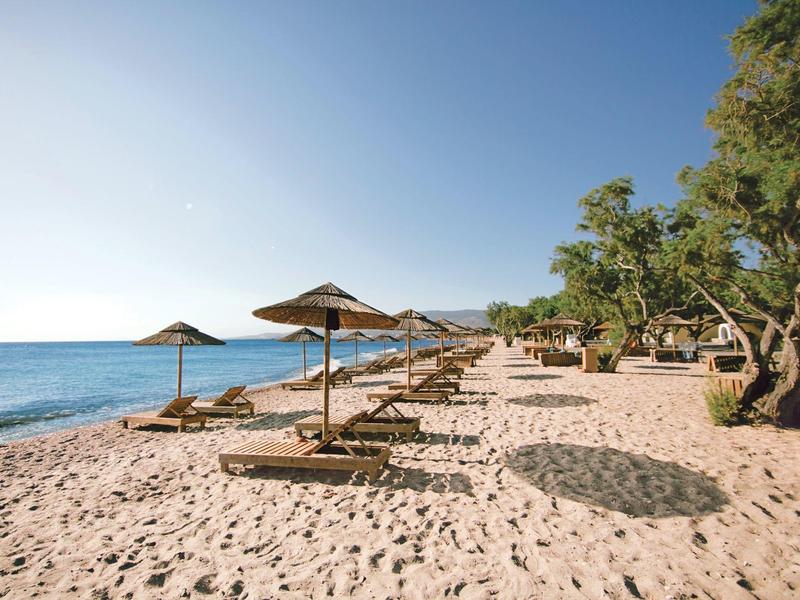 Písčitá pláž s lehátky a slunečníky, obklopená stromy u moře.