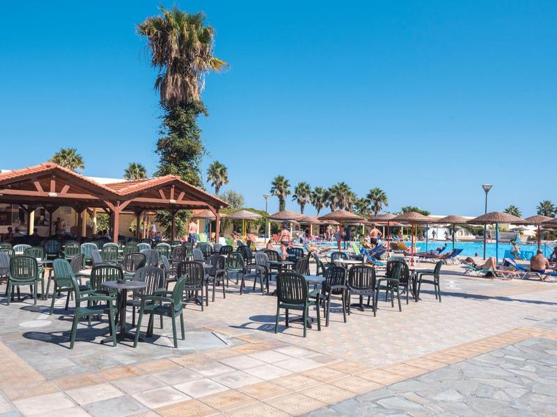 Pusta przestrzeń z stołami obok basenu i palm pod czystym niebem.