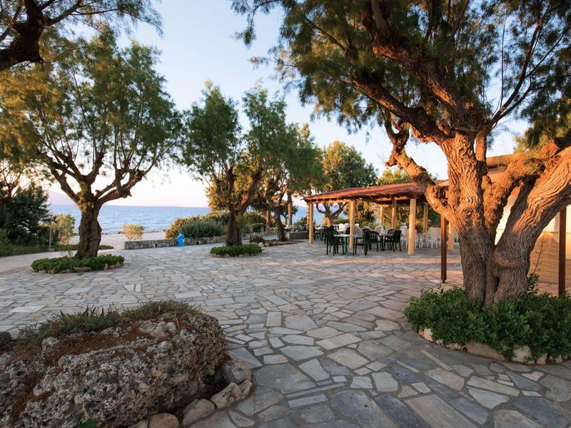 Spokojna strefa z kamienną podłogą, drzewami i miejscem do siedzenia blisko morza.